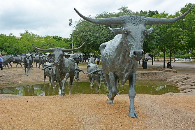 Dallas and JFK Cruizer Tour - Farmers Market Break: 20 Minutes to Reset