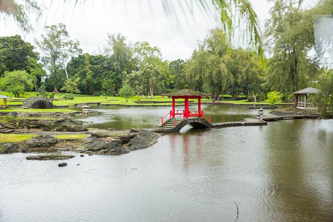 Day Trip from Oahu to Hilo: Volcano Adventure - Lunch, vehicle comfort, and the real meaning of the $654 price