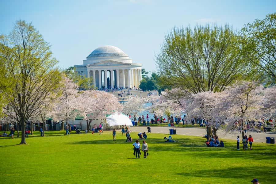 DC: Hop-on Hop-off Tour by Open-top Bus with 17 Stops - Two Hours in DC, Built for Getting Your Bearings Fast