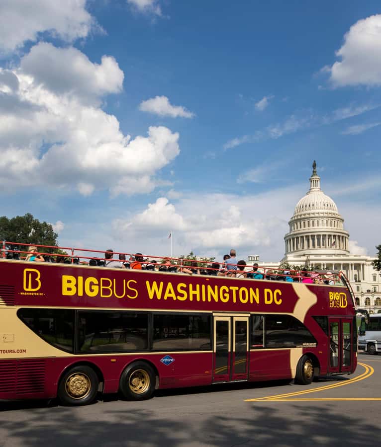 DC: Hop-on Hop-off Tour by Open-top Bus with 17 Stops - Tidal Basin Memorial Stops: MLK and FDR Where Time Moves Differently