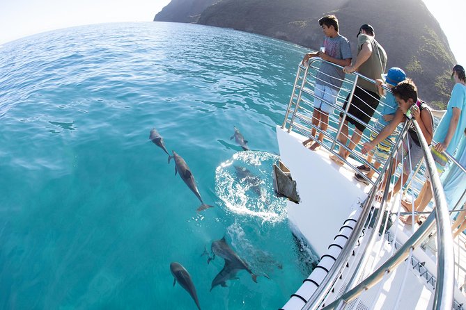Deluxe Na Pali Morning Snorkel Tour on the Lucky Lady - Lunch and open bar: the part that makes it feel like a full day