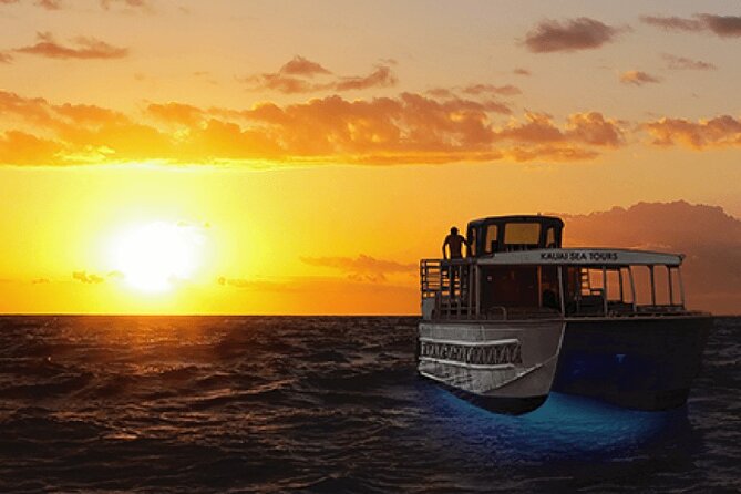 Deluxe Na Pali Sunset Snorkel Tour on the Lucky Lady - Wildlife seasonality: whales, dolphins, and sea turtles
