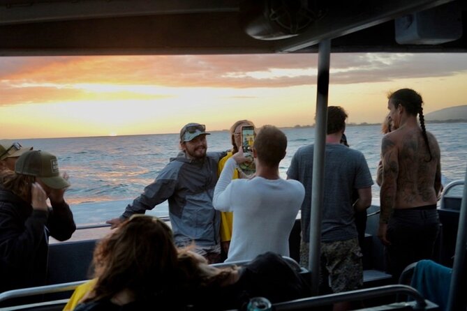 Deluxe Na Pali Sunset Tour on the Lucky Lady - Wildlife spotting: dolphins, turtles, and whales without the pressure