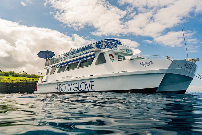 Deluxe Snorkel & Dolphin Watch Aboard a Luxury Catamaran from Kailua-Kona - Why This Kona Dolphin Watch Feels Like a Real Vacation
