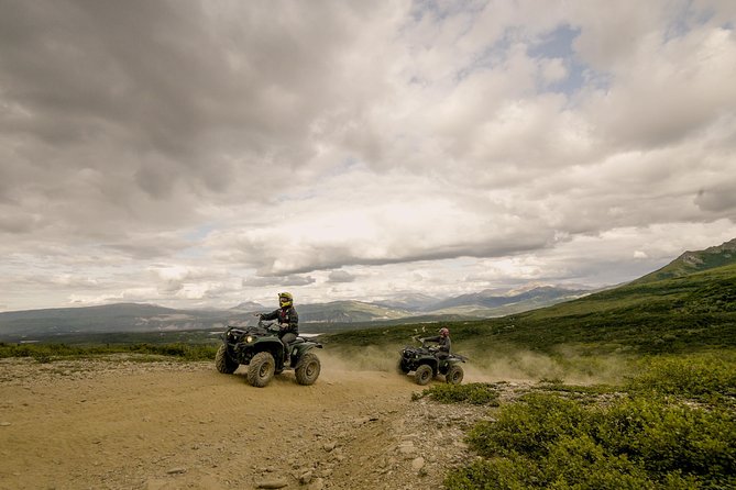 Denali ATV Trailblazer 3.5 Hour Tour - ATV vs Side-by-Side: Pick Your Comfort Level