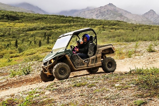Denali ATV Trailblazer 3.5 Hour Tour - Mud, Dust, Wind, and What You Should Wear