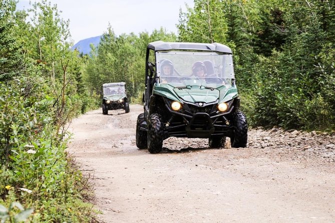 Denali ATV Trailblazer 3.5 Hour Tour - The 20 Miles of 4-Wheel-Drive Fun Near Denali