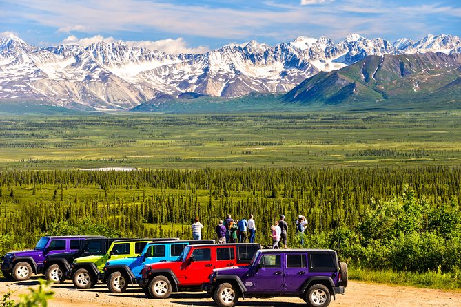 Denali Highway Jeep Excursion - The view plan: Alaska Range and glacier scenery you can’t fake