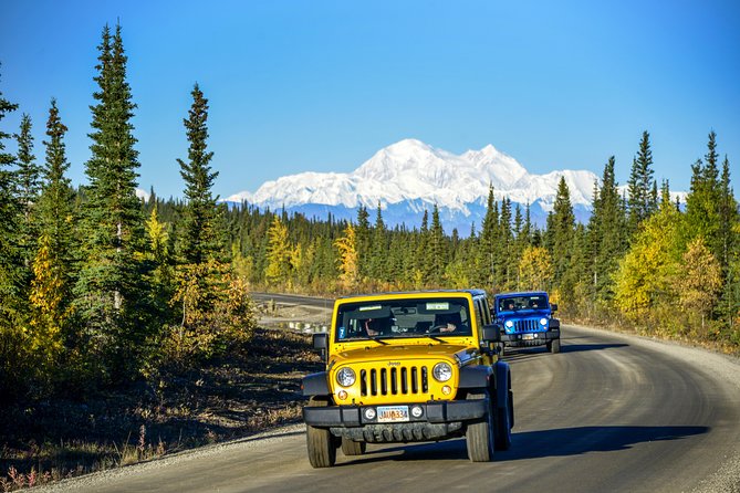 Denali Highway Jeep Excursion - Wildlife chances: caribou, bears, wolves, and the reality of not finding everything