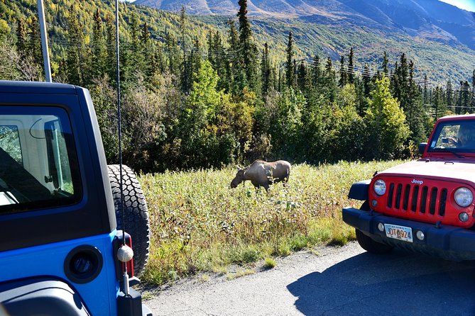 Denali Highway Jeep Excursion - Guides make or break the experience, and this one has strong names