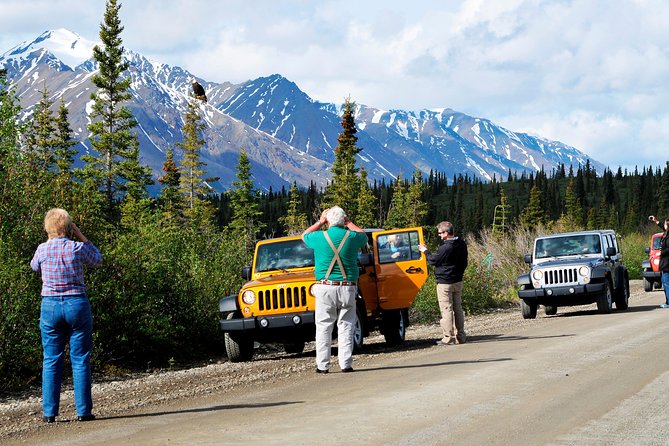 Denali Highway Jeep Excursion - Value at $220.99: what you’re paying for and when it feels fair
