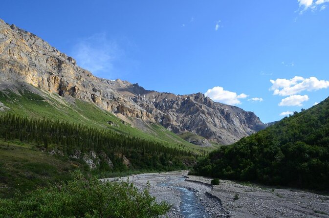 Denali Park Nature Walk (3 Hours) w/Expert Naturalist - Key Things to Know Before You Go