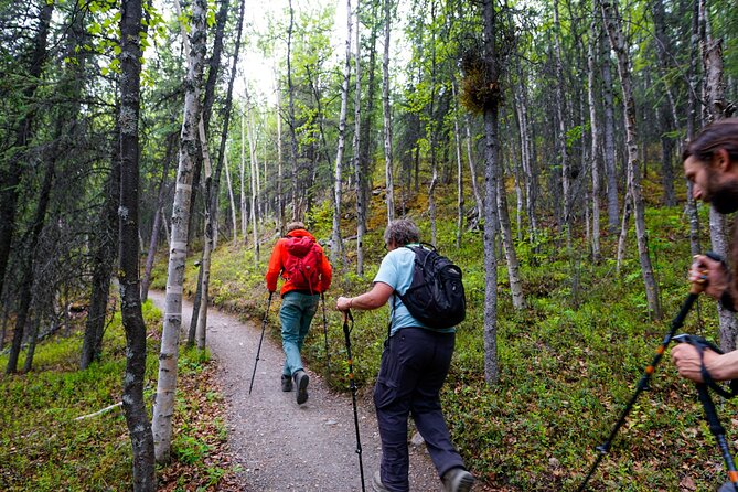 Denali Park Nature Walk (3 Hours) w/Expert Naturalist - Meeting at the Denali Visitor Center and Getting Moving