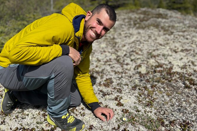 Denali Park Nature Walk (3 Hours) w/Expert Naturalist - The Route Style and Why You May See Similar Ground