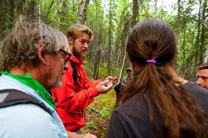 Denali Park Nature Walk (3 Hours) w/Expert Naturalist - Snacks, Water, and What to Pack for a 3-Hour Walk