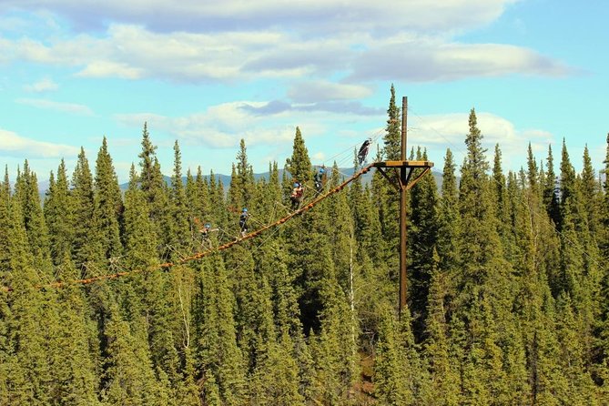 Denali Park Zipline Adventure - Why this Denali zipline course feels made for Alaska