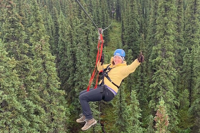 Denali Park Zipline Adventure - The views: Alaska Range moments you can actually savor