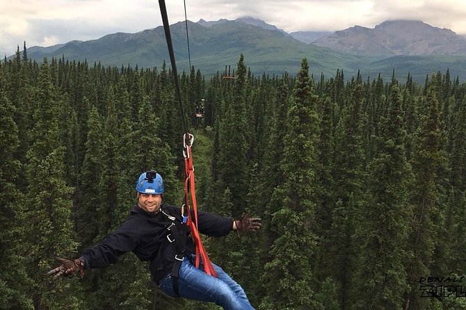 Denali Park Zipline Adventure - Price and value: is $208.99 worth it?