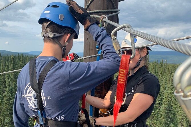 Denali Park Zipline Adventure - Weather, timing, and what to wear on an Alaska forest course