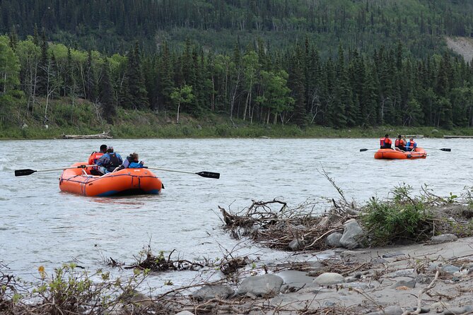 Denali Rafting Wilderness Wave - Weather, timing, and the reality of a cold river day