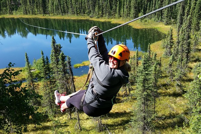 Denali Zipline Tour in Talkeetna, AK - Key things I’d zero in on