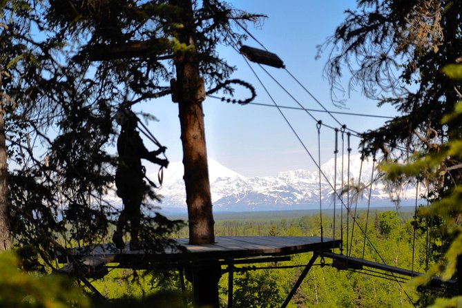Denali Zipline Tour in Talkeetna, AK - Talkeetna treetops, with Denali in your sights