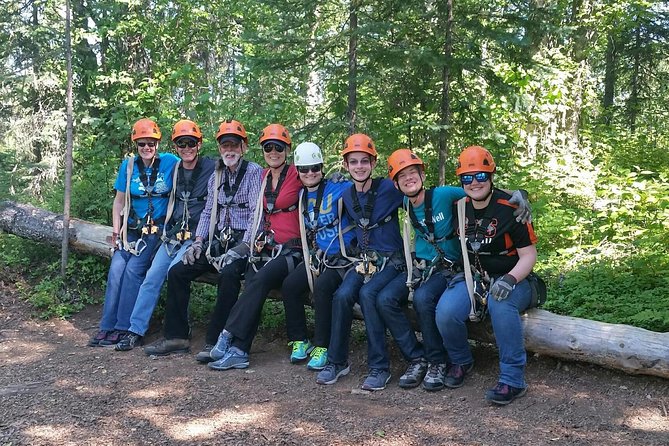 Denali Zipline Tour in Talkeetna, AK - Price and value: is $168.92 worth it?