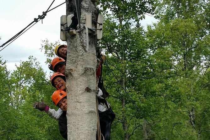 Denali Zipline Tour in Talkeetna, AK - The 3-hour flow, from check-in to your final zip