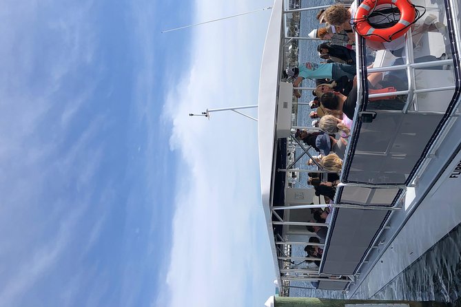Destin Dolphin Cruise - Crab Island, beach runs, and those harbor points you’ll actually care about