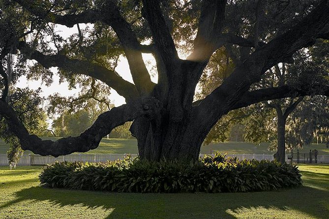 Destrehan Plantation Tour - The 1811 Slave Revolt exhibit: the tour’s emotional backbone