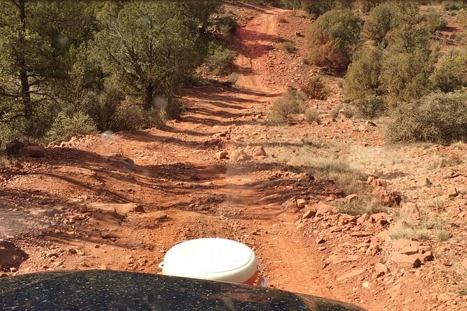 Diamondback Gulch 4x4 Open-Air Jeep Tour in Sedona - Wildlife spotting and big views, not random stops