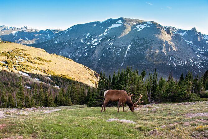 Discover Rocky Mountain National Park - Key takeaways before you go