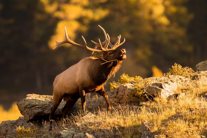 Discover Rocky Mountain National Park - Lily Lake and Longs Peak: the viewpoint starter that wakes you up