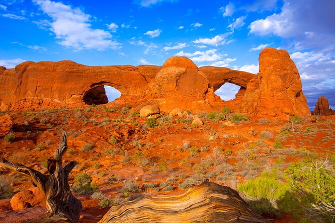 Discover The Best Of Moab In A Day: Arches Canyonlands Dead Horse - Who this tour suits best, and who should reconsider