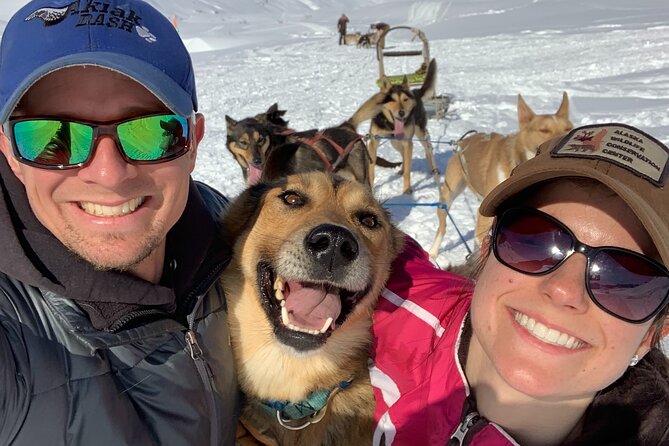 Dog Sledding Adventure in Willow, Alaska - Willow Husky Sledding: the real Alaska version of a sled ride