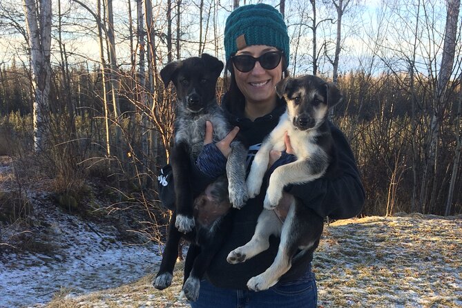 Dog Sledding Adventure in Willow, Alaska - Photo time, warm drinks, snacks, and the best after-ride moments