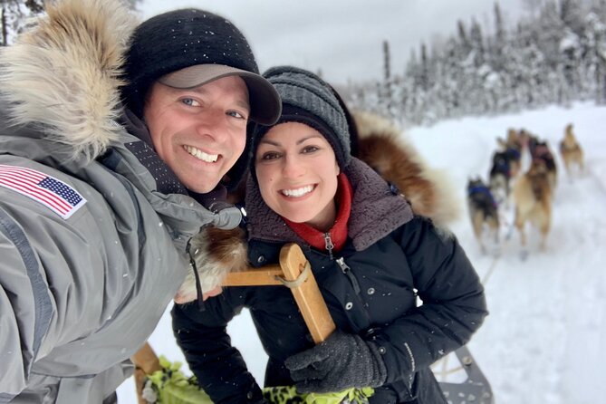 Dog Sledding Adventure in Willow, Alaska - Meeting the husky team: harness work and Iditarod talk that makes it meaningful