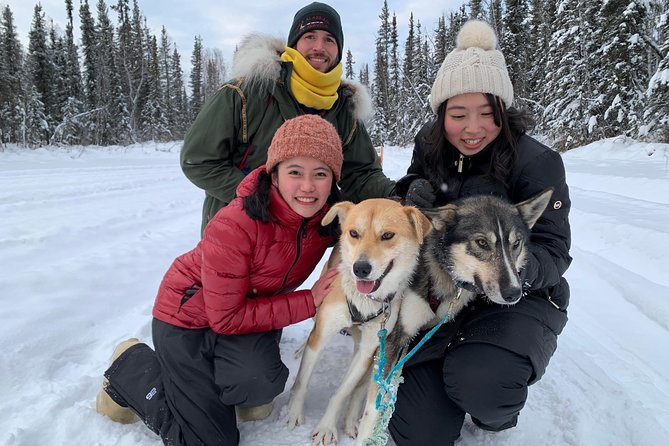 Dog Sledding and Mushing Experience in North Pole - Key things I’d plan around