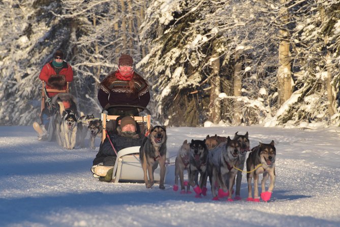 Dog Sledding and Mushing Experience in North Pole - Entering Rod’s Alaskan Guide Service and Meeting the Huskies