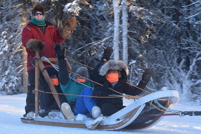 Dog Sledding and Mushing Experience in North Pole - The Photo Stop and Petting Moment You Should Actually Use