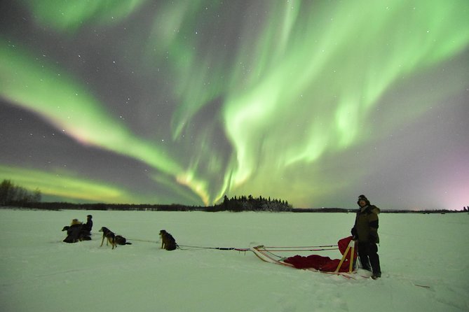 Dog Sledding and Mushing Experience in North Pole - Private-Only Touring: Why It Feels Different