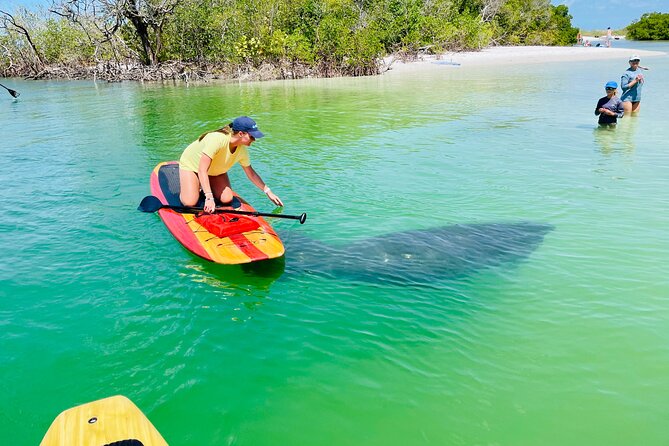 Dolphin and Manatee Adventure Tour of Fort Myers - Key things I’d circle on your map