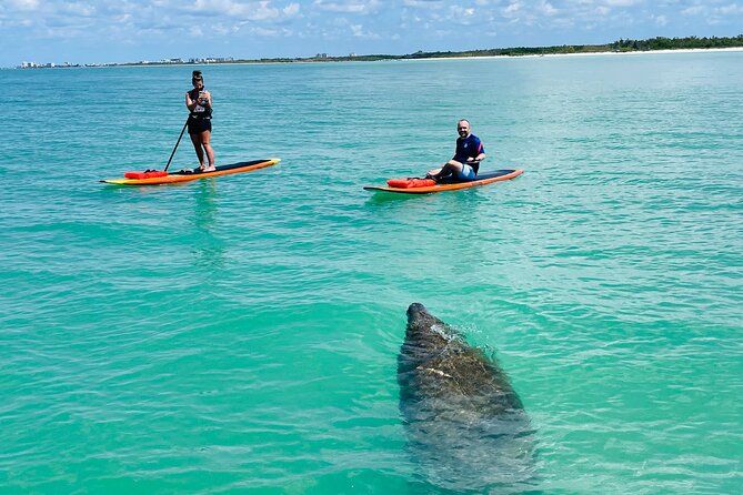 Dolphin and Manatee Adventure Tour of Fort Myers - Meeting in Bonita Springs, getting set up without stress