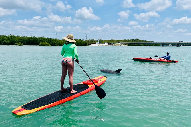 Dolphin and Manatee Adventure Tour of Fort Myers - What you should pack (so the day feels easy)