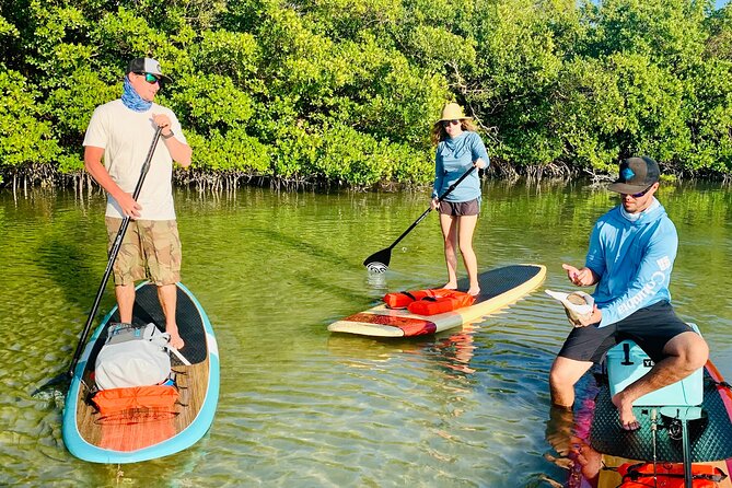 Dolphin and Manatee Adventure Tour of Fort Myers - Who this tour is best for in Fort Myers