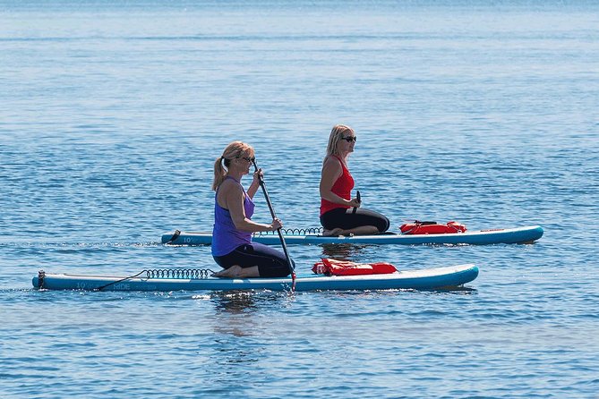 Dolphin and Manatee Stand Up Paddleboard Tour in Daytona Beach - SUP on Daytona Water, Guided With Real Safety First