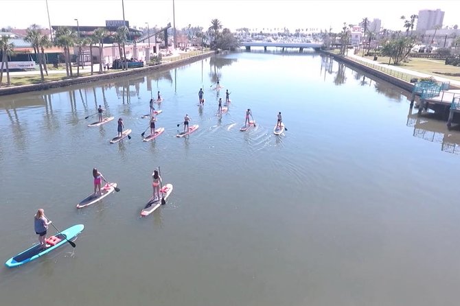 Dolphin and Manatee Stand Up Paddleboard Tour in Daytona Beach - The Scenic Route: Island Loop, Seven Bridges, Yacht Club, and Canals
