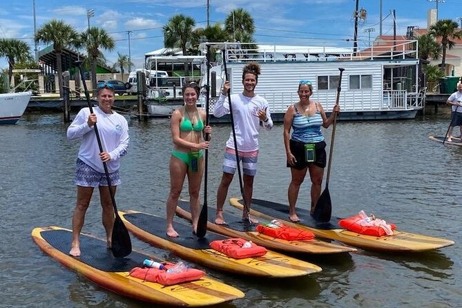 Dolphin and Manatee Stand Up Paddleboard Tour in Daytona Beach - Wildlife Spotting Without Forcing It