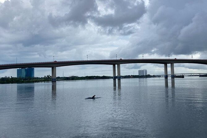 Dolphin and Manatee Stand Up Paddleboard Tour in Daytona Beach - How the Guides Set the Tone (Safety, Patience, and Local Info)