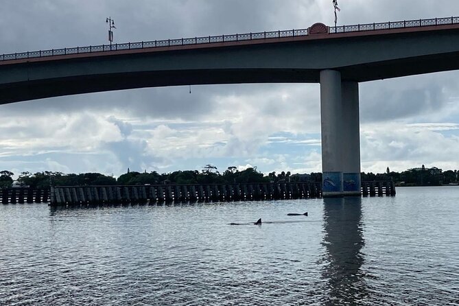 Dolphin and Manatee Stand Up Paddleboard Tour in Daytona Beach - The 8:30am and 10:30am Advantage for Dolphins and Weather